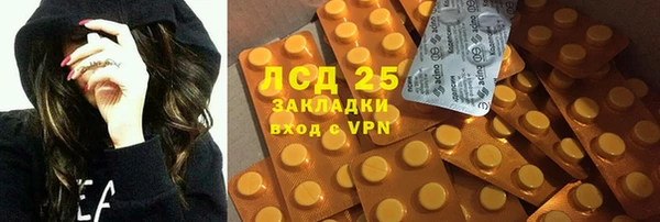 хмурый Лагань