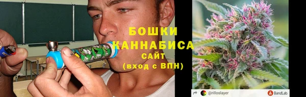 хмурый Лагань