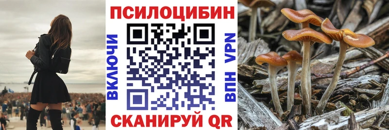 Псилоцибиновые грибы Magic Shrooms  Саратов 